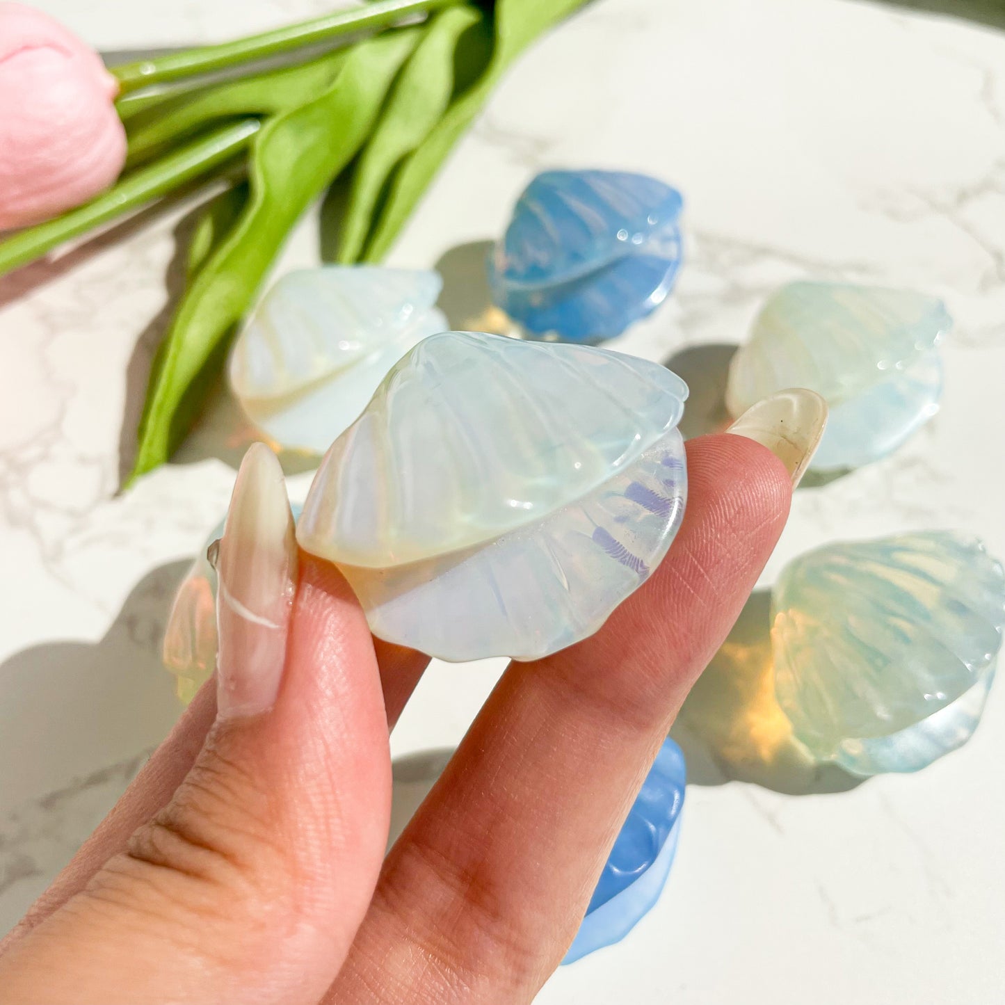 Crystal Shell carving