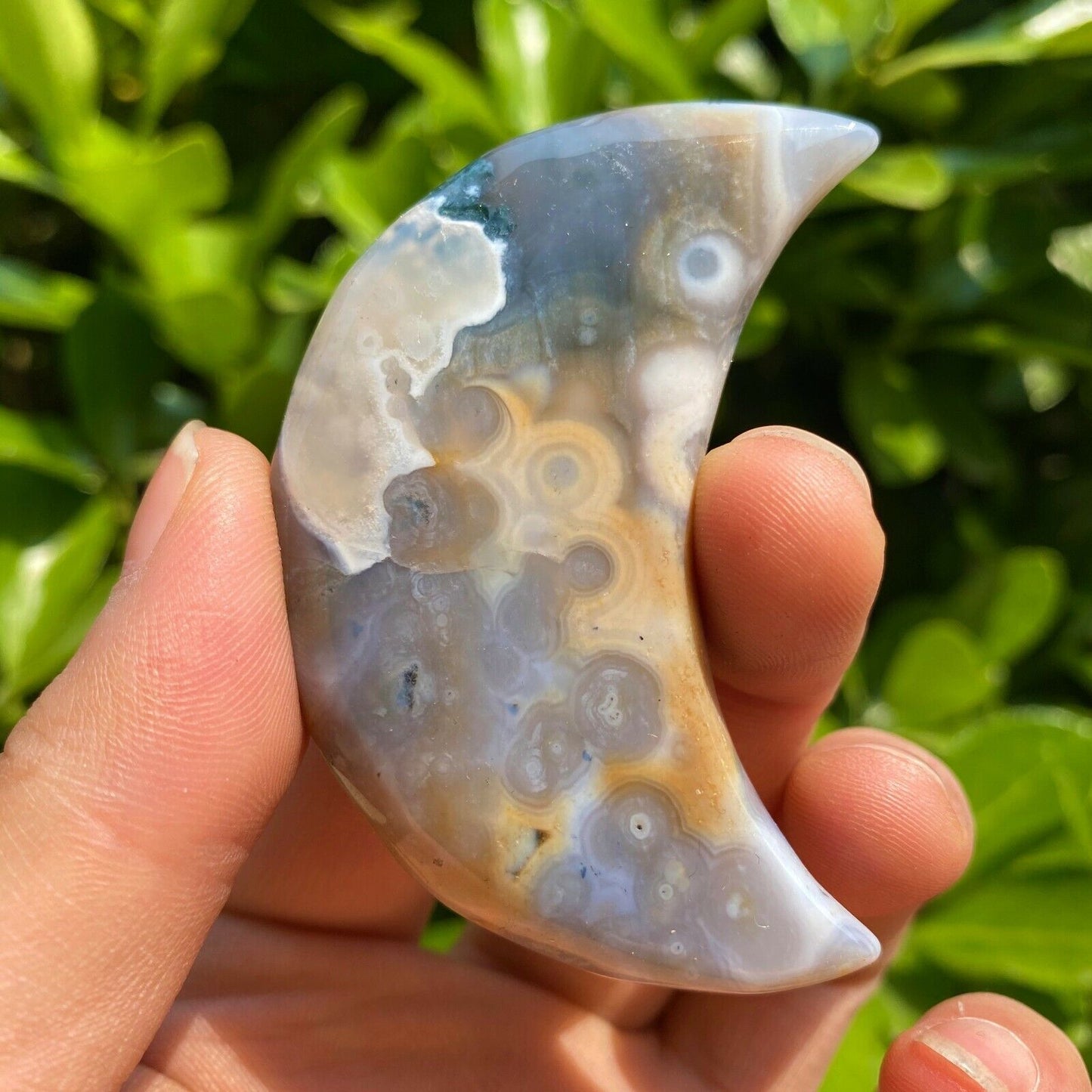 Collection ! Natural Amazing Orbicular Ocean Jasper Moon Reiki Stone Healing 03