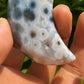 Collection ! Natural Amazing Orbicular Ocean Jasper Moon Reiki Stone Healing 04