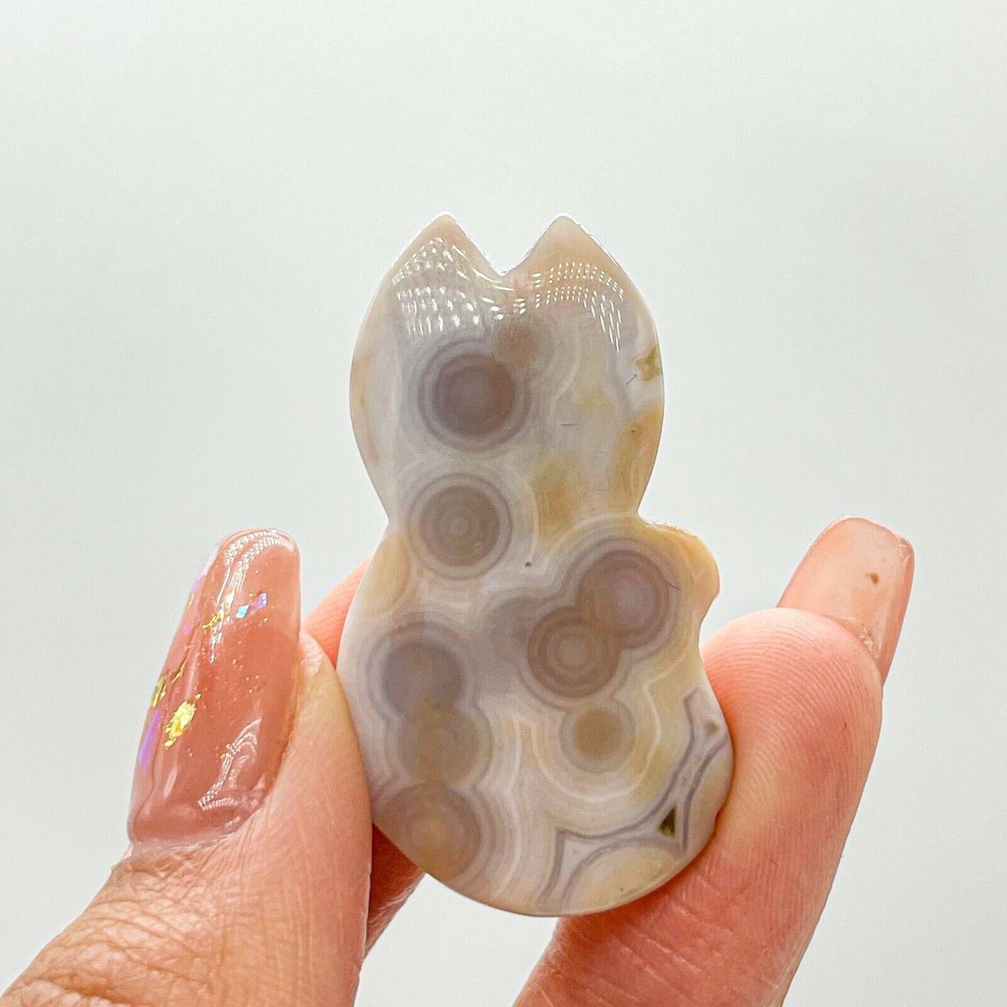 Collection ! Amazing Orbicular Ocean Jasper Agate Fox Reiki Stone Healing A06