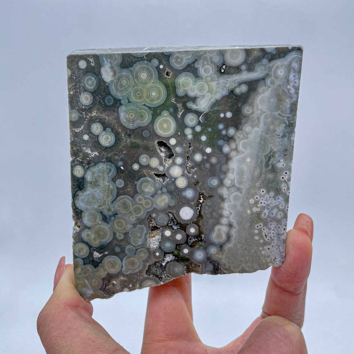 Collection ! Amazing Orbicular Ocean Jasper Agate Druzy Slab Reiki Stone Gift 07