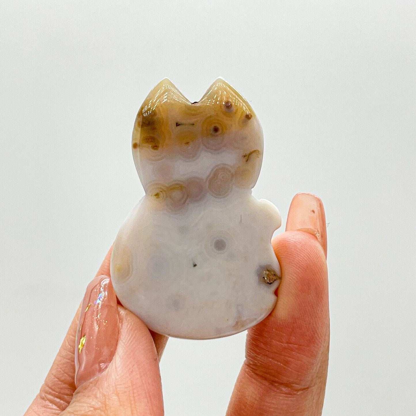 Collection ! Amazing Orbicular Ocean Jasper Agate Fox Reiki Stone Healing A02