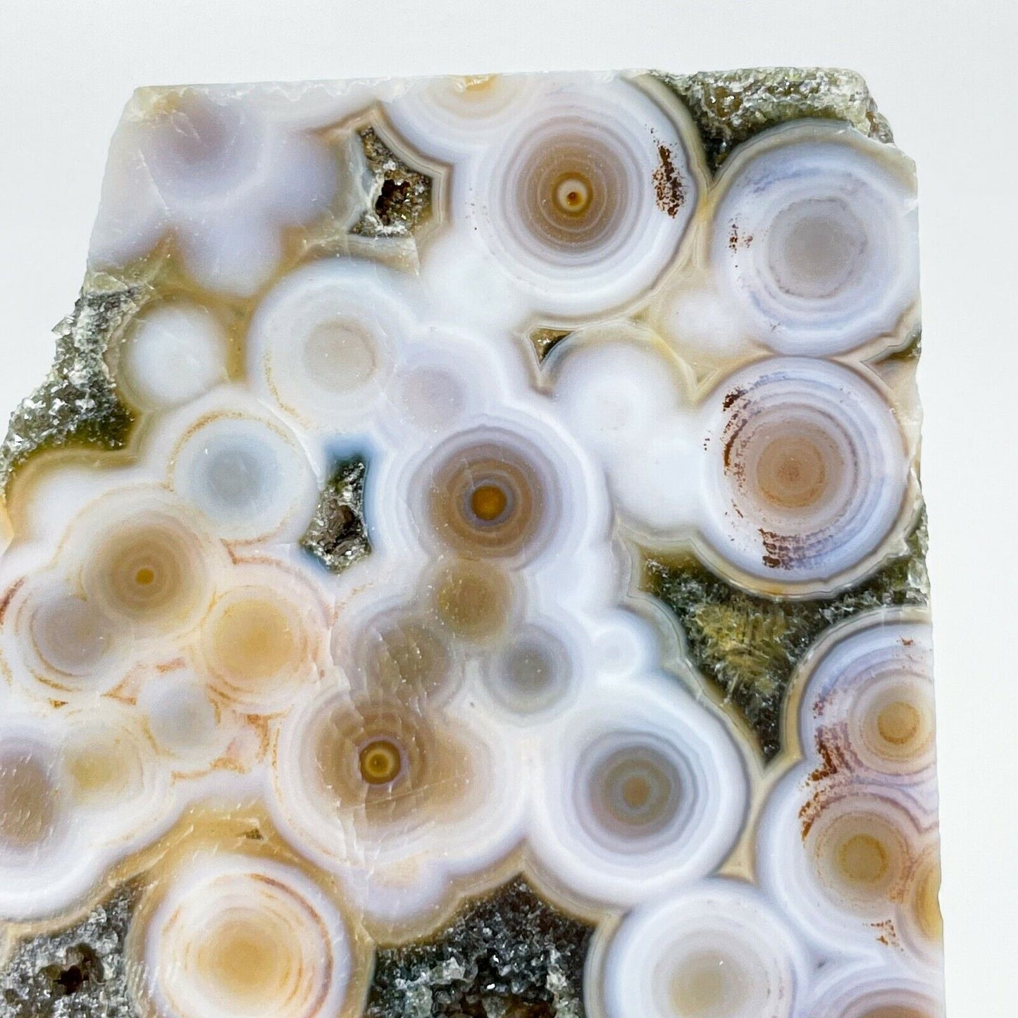 Collection ! Amazing Orbicular Ocean Jasper Agate Druzy Slab Reiki Stone Gift 11