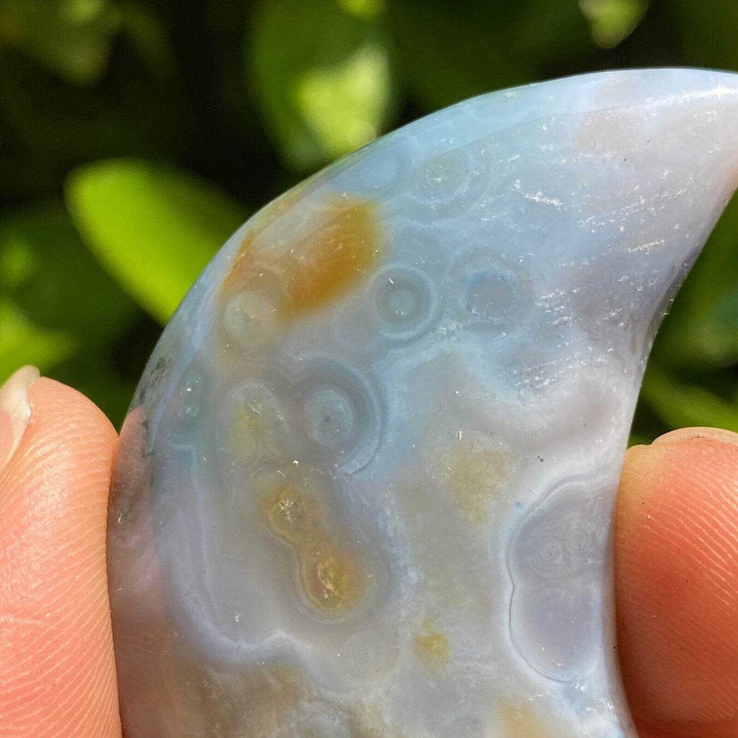 Collection ! Natural Amazing Orbicular Ocean Jasper Moon Reiki Stone Healing 05