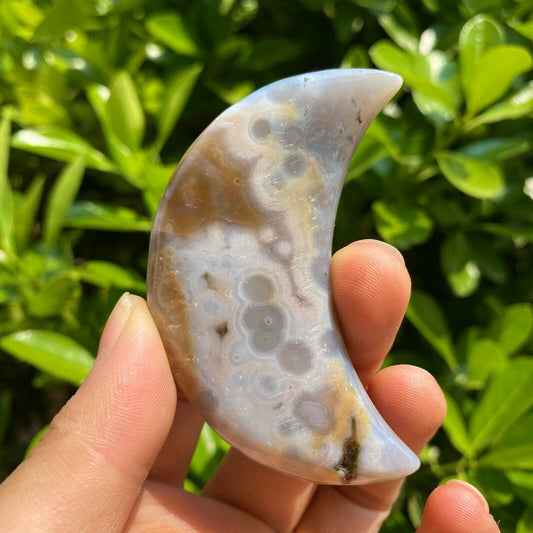 Collection ! Natural Amazing Orbicular Ocean Jasper Moon Reiki Stone Healing 06
