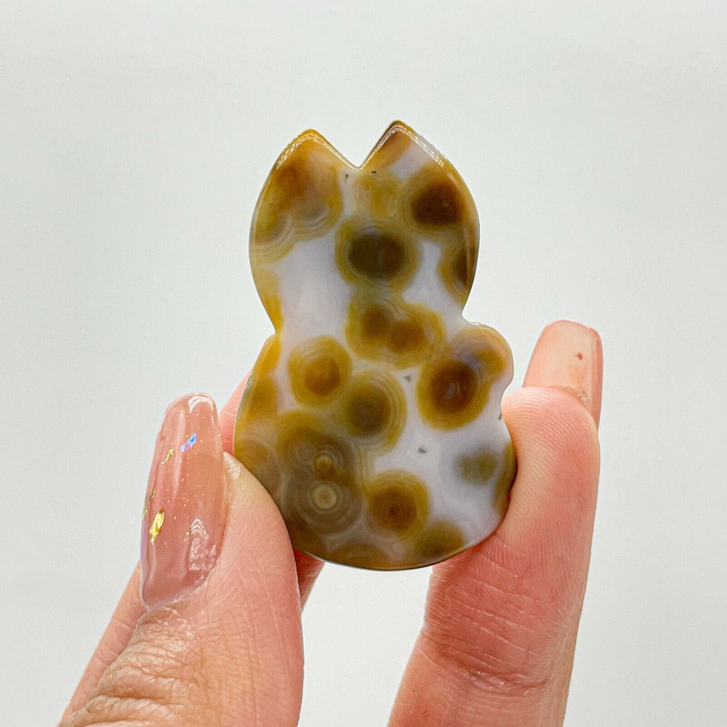 Collection ! Amazing Orbicular Ocean Jasper Agate Fox Reiki Stone Healing A05
