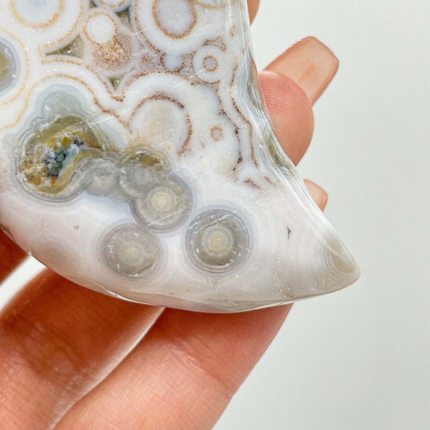 Collection ! Natural Amazing Orbicular Ocean Jasper Moon Reiki Stone Healing 14