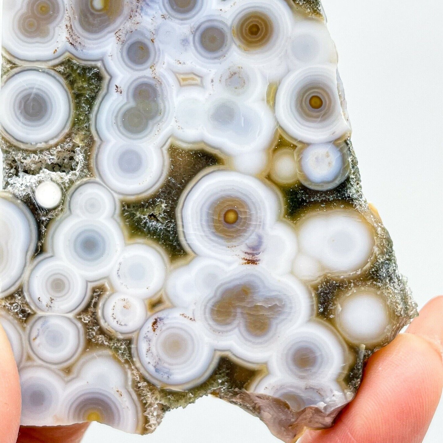 Collection ! Amazing Orbicular Ocean Jasper Agate Druzy Slab Reiki Stone Gift 11
