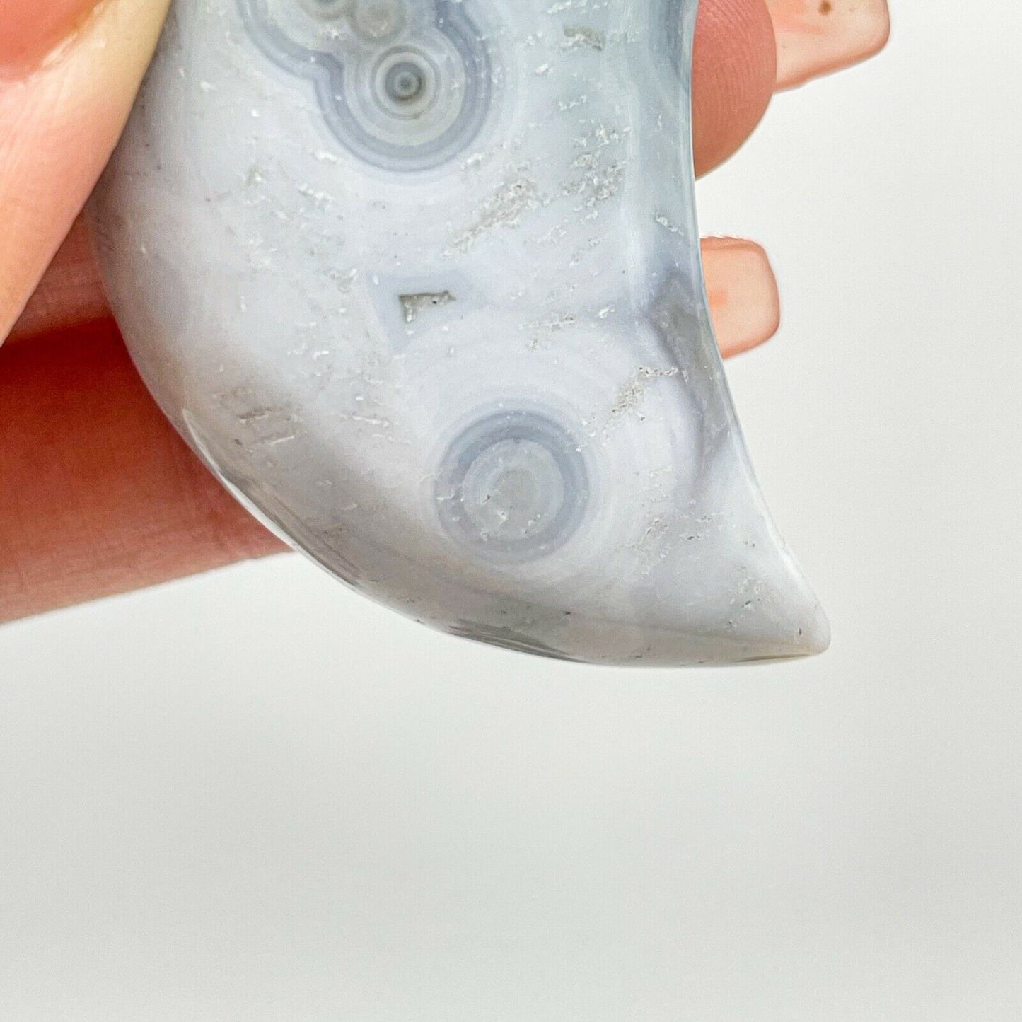 Collection ! Natural Amazing Orbicular Ocean Jasper Moon Reiki Stone Healing 13