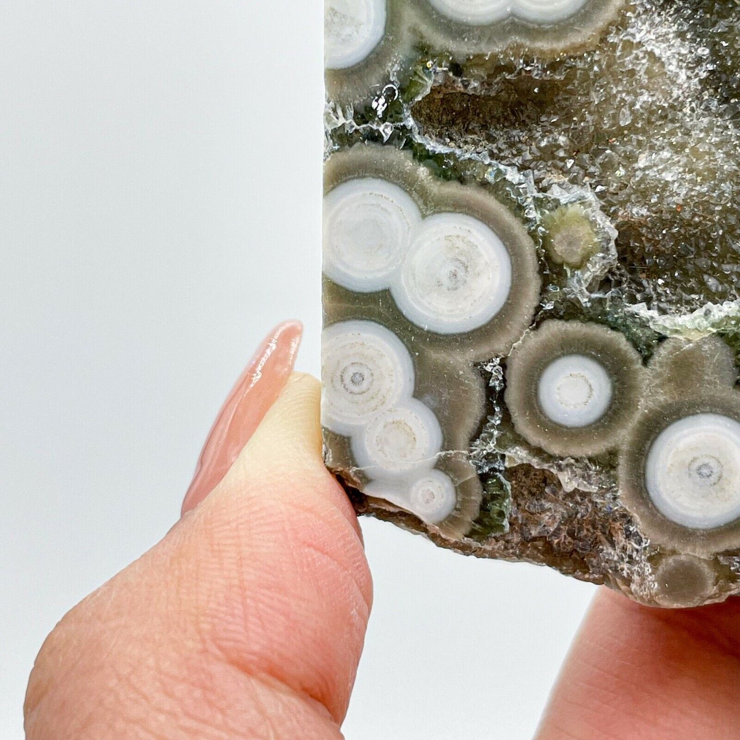 Collection ! Amazing Orbicular Ocean Jasper Agate Druzy Slab Reiki Stone Gift 07