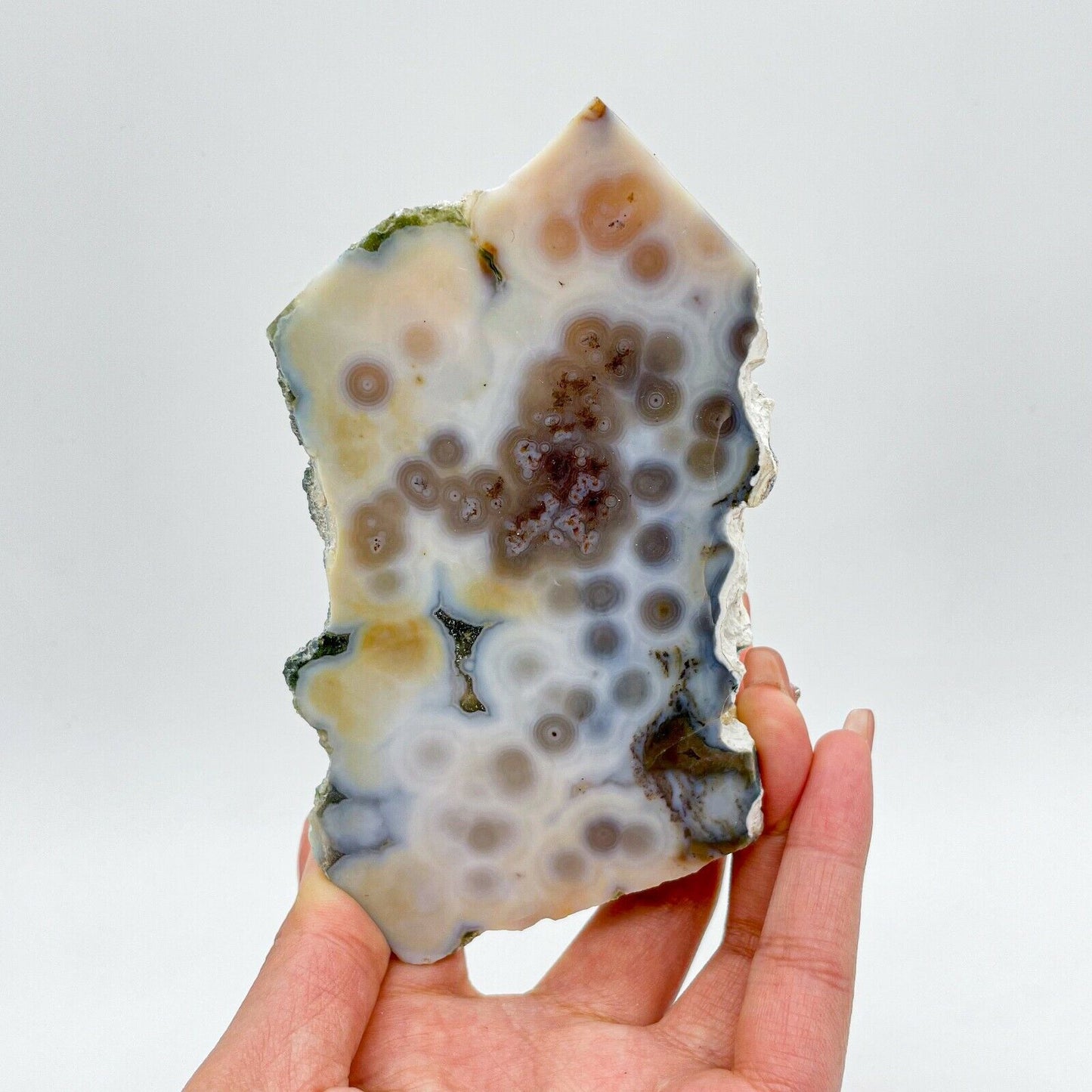 Collection ! Amazing Orbicular Ocean Jasper Agate Druzy Slab Reiki Stone Gift 08