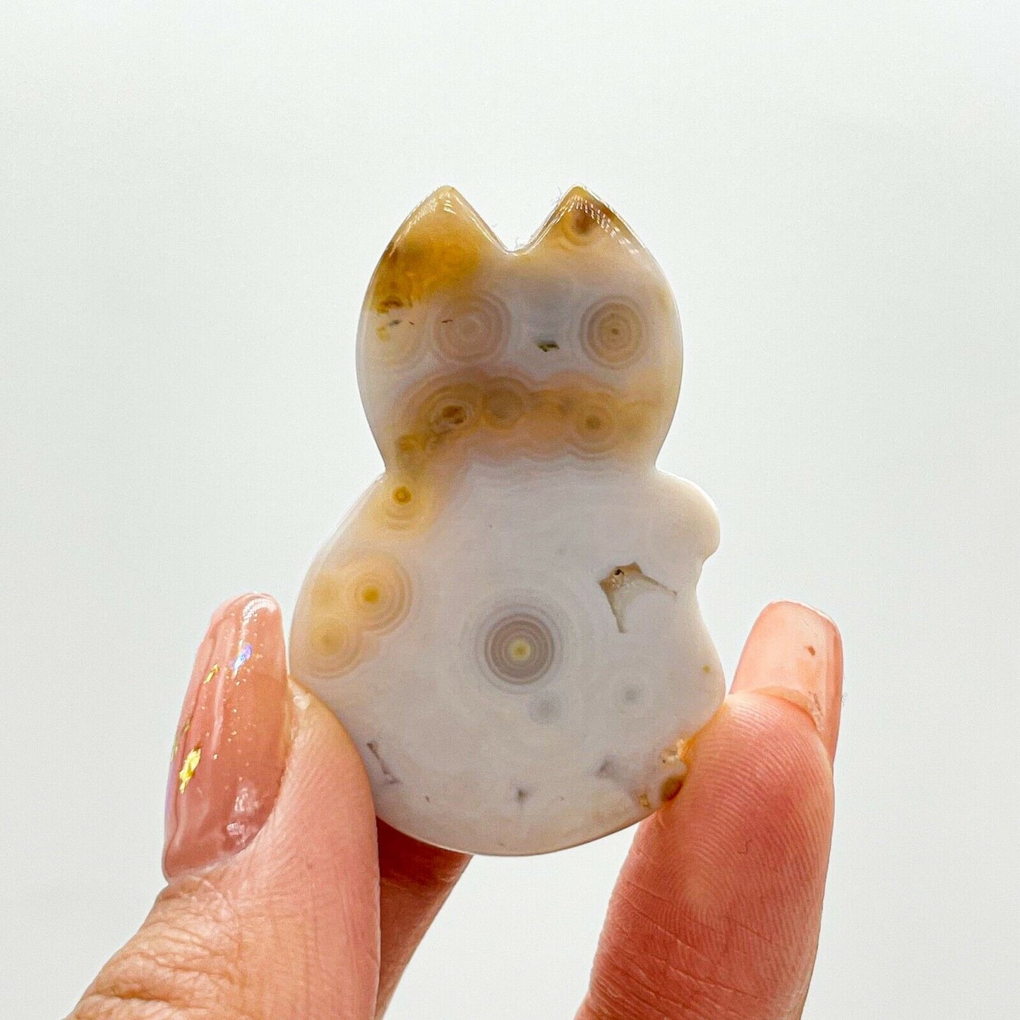 Collection ! Amazing Orbicular Ocean Jasper Agate Fox Reiki Stone Healing A03