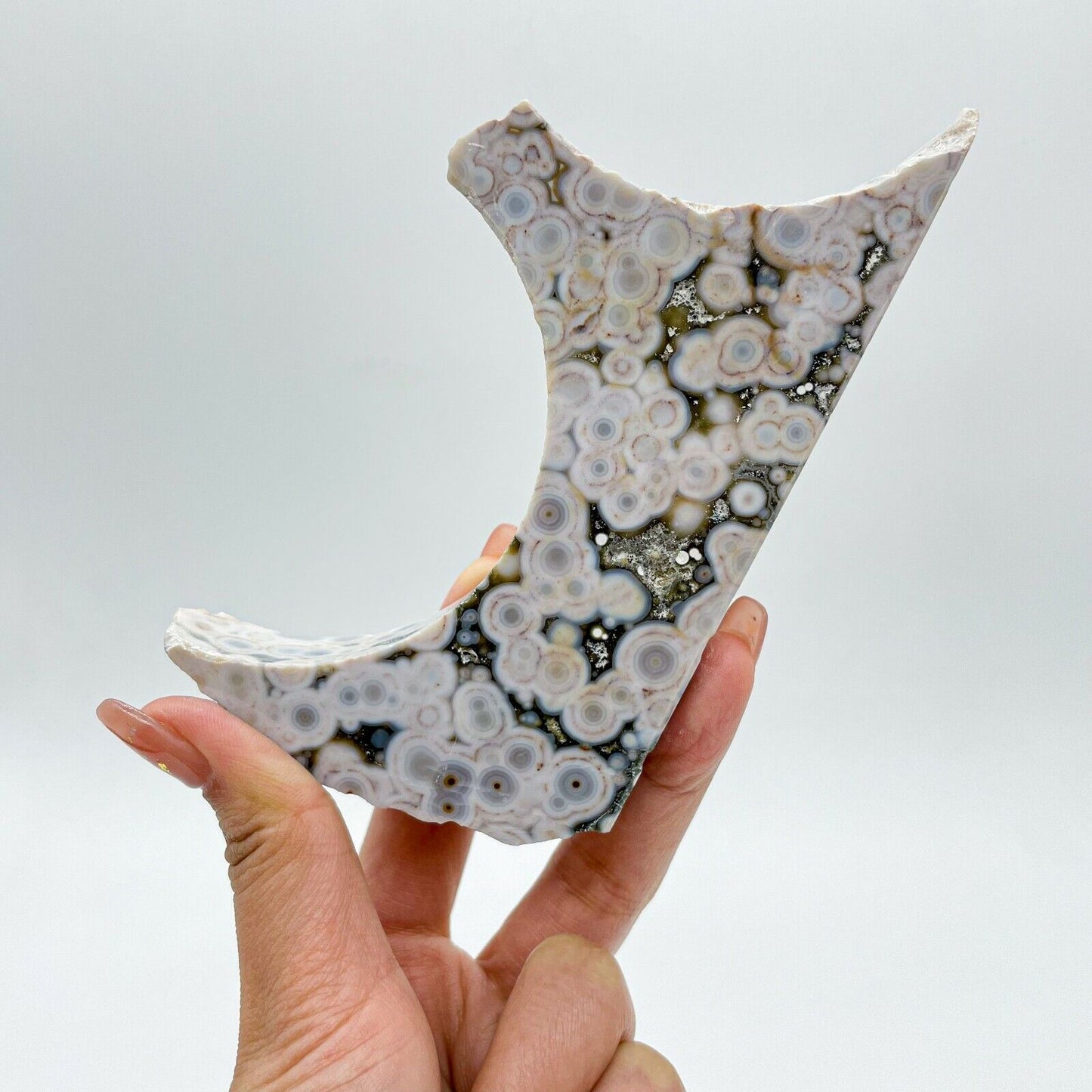 Collection ! Amazing Orbicular Ocean Jasper Agate Druzy Slab Reiki Stone Gift 06