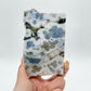 Collection ! Amazing Orbicular Ocean Jasper Agate Druzy Slab Reiki Stone Gift 02