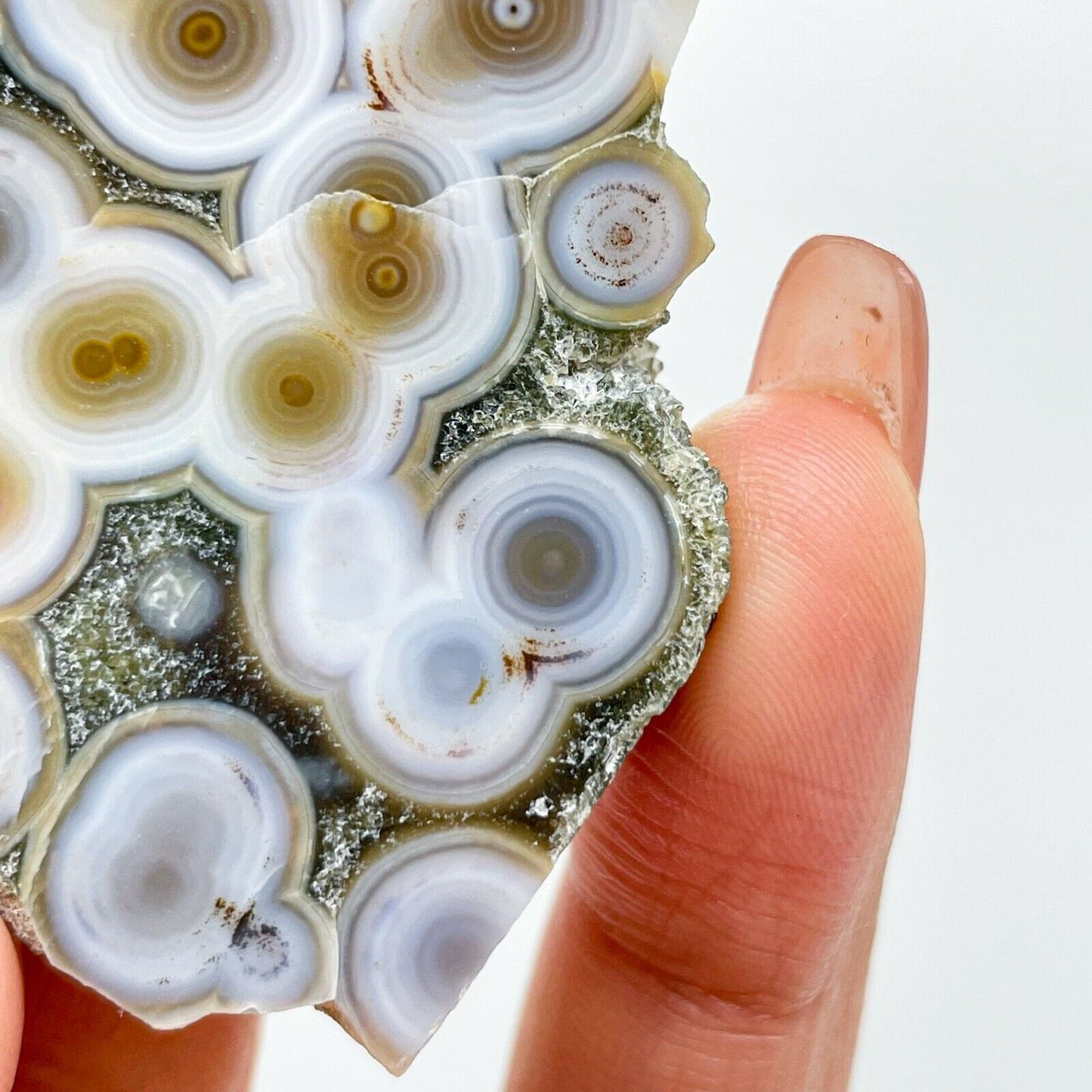 Collection ! Amazing Orbicular Ocean Jasper Agate Druzy Slab Reiki Stone Gift 10