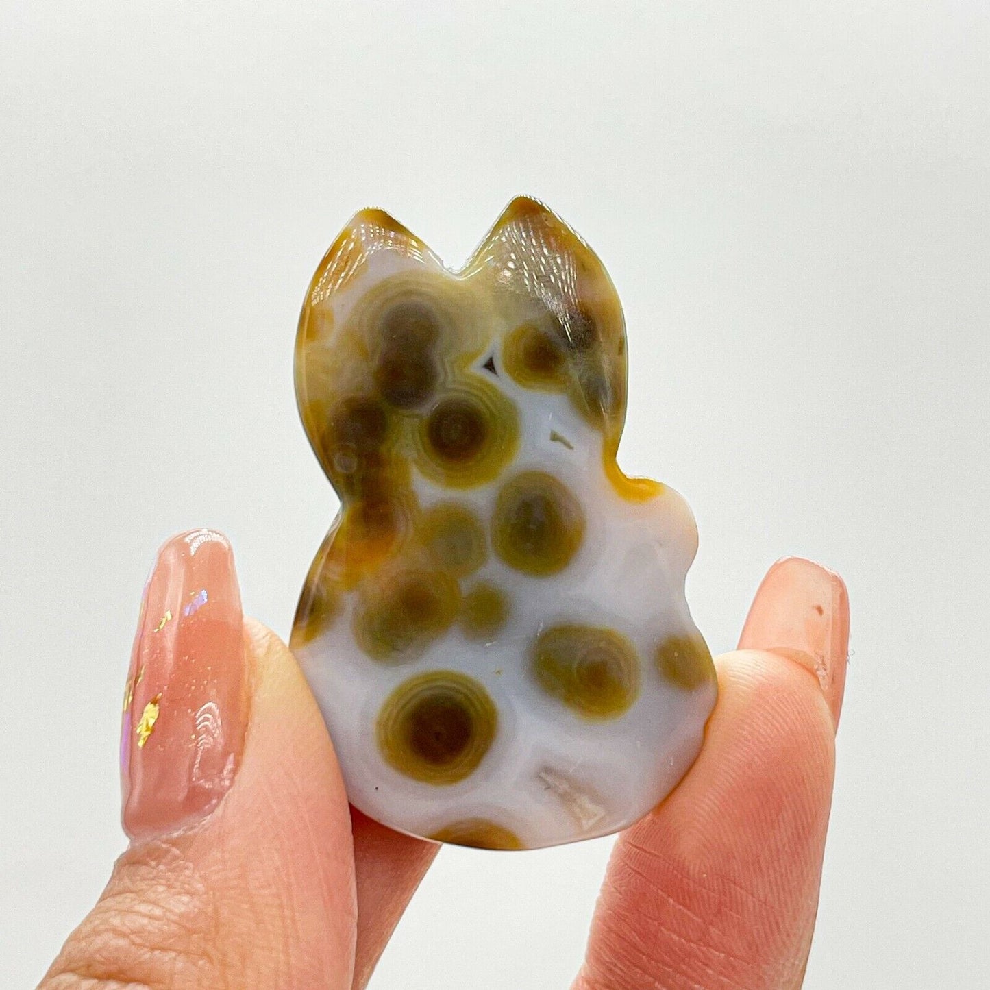 Collection ! Amazing Orbicular Ocean Jasper Agate Fox Reiki Stone Healing A04